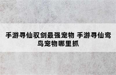 手游寻仙驭剑最强宠物 手游寻仙鸾鸟宠物哪里抓